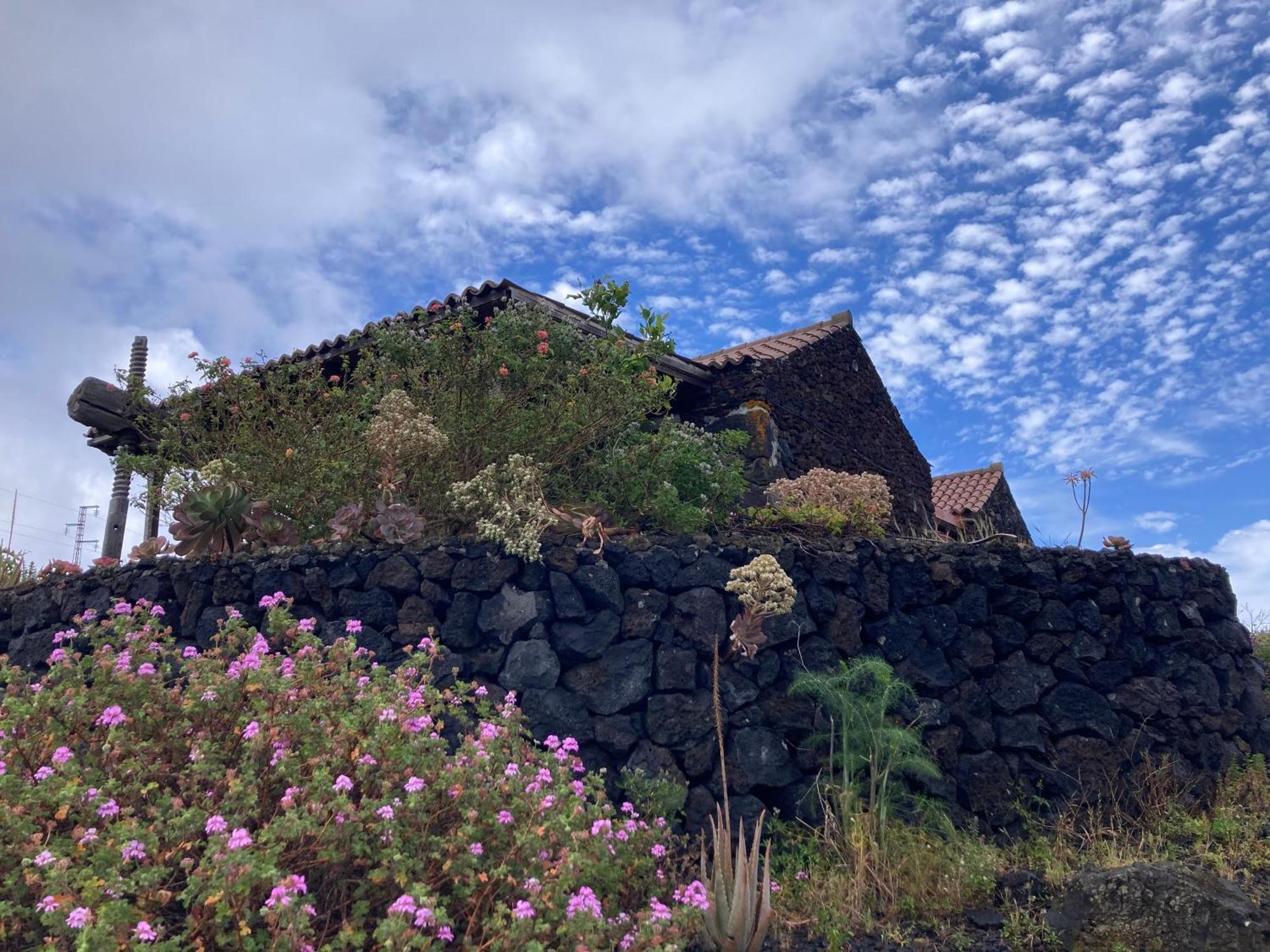 La Casa Del Volcan Las Indias Kültér fotó